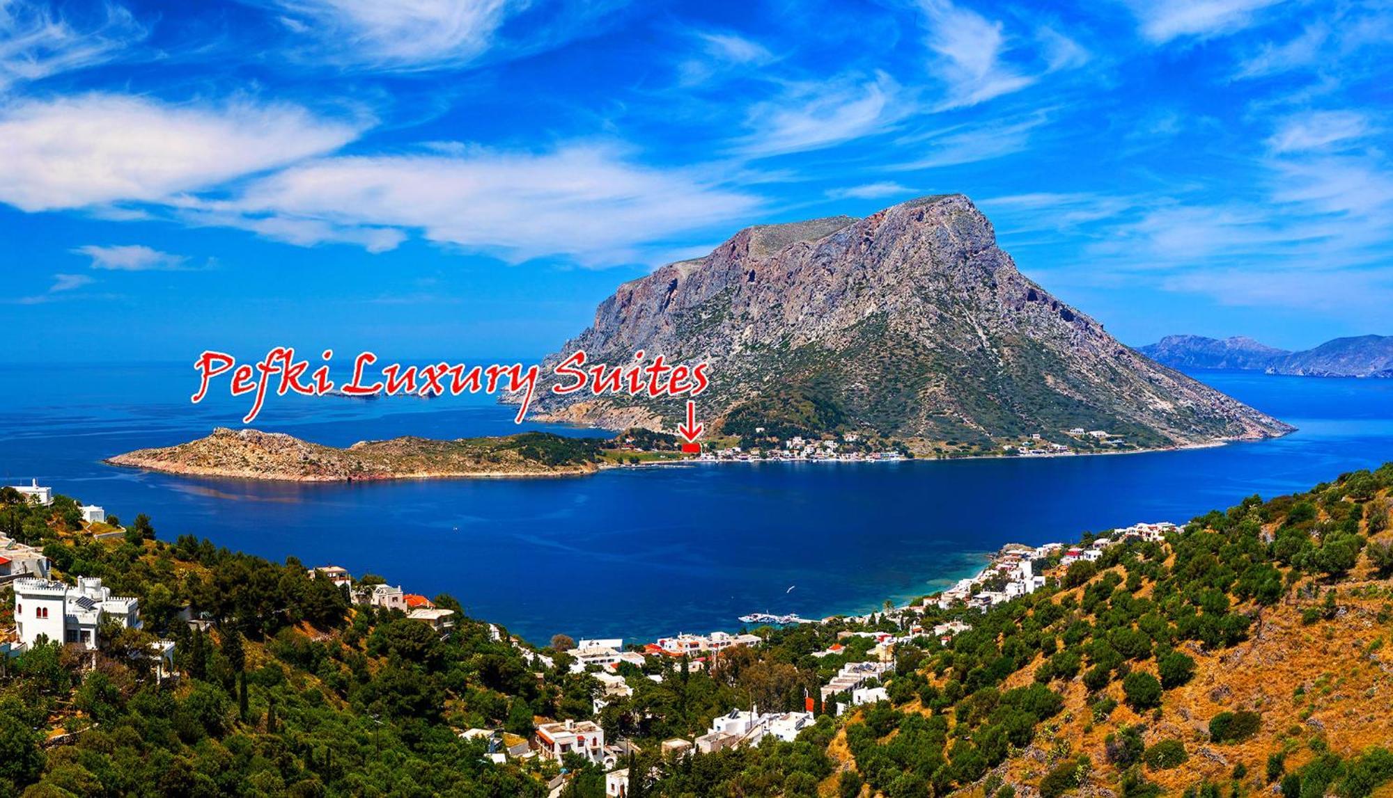 Pefki Luxury Holiday home *